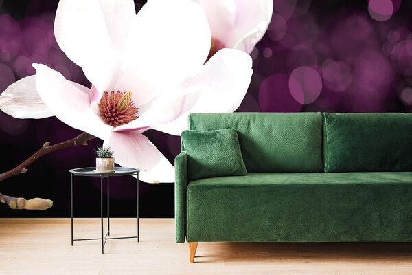Tapet floare de magnolie pe fundalul abstract