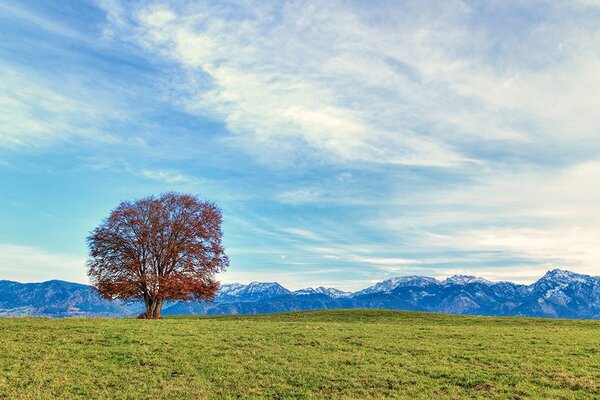 Fototapet panorama munților