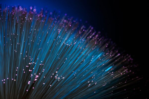 Tapet fibre optice