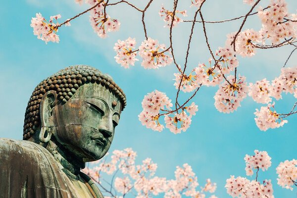 Fototapet Statuia Buddha cu cireș
