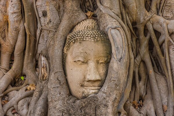 Fototapet Smochinul sacru al lui Buddha