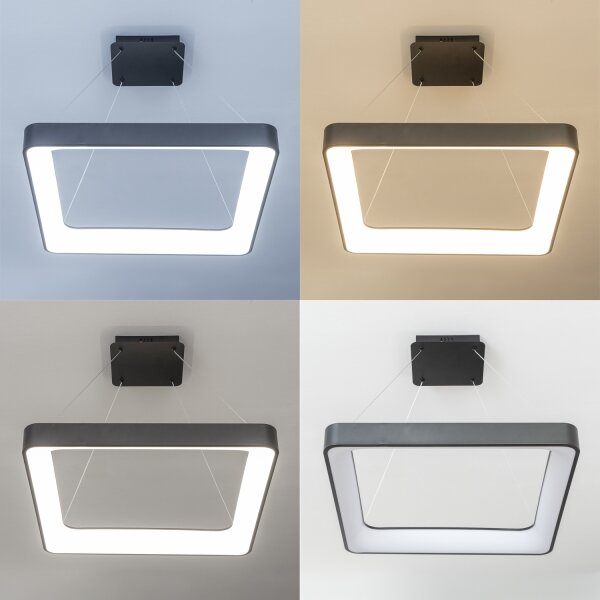 Brilagi - Lustru LED dimabil pe cablu FALCON II LED/125W/230V 60x60 cm negru + telecomandă