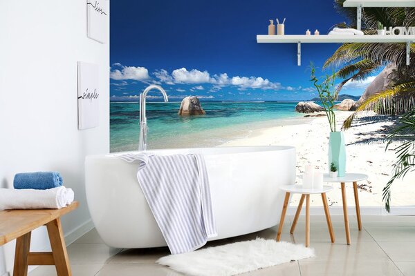 Fototapet plajă Anse Source