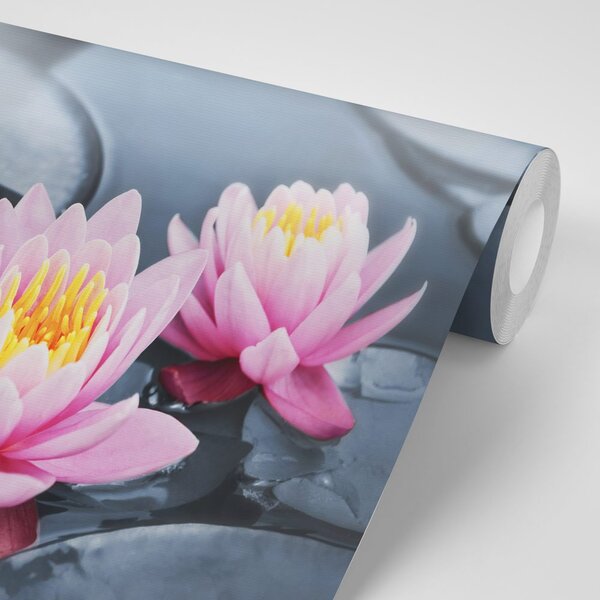 Fototapet floare de lotus în lac