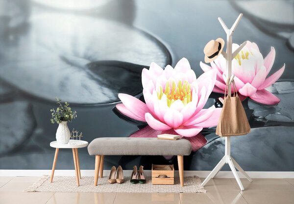 Fototapet floare de lotus în lac