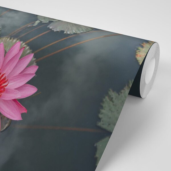 Fototapet floare de lotus încântătoare