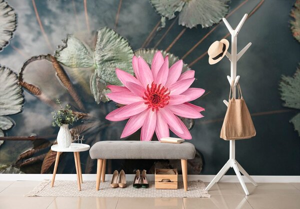 Fototapet floare de lotus încântătoare