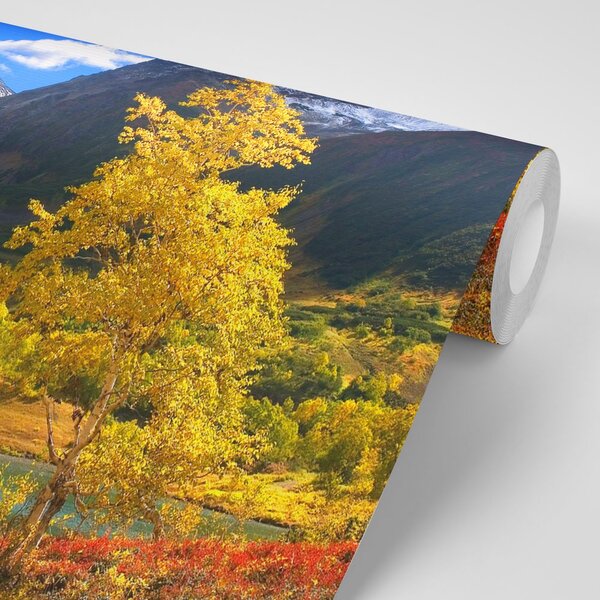 Fototapet natură minunată în Kamchatka