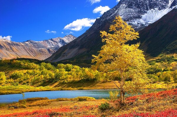 Fototapet natură minunată în Kamchatka