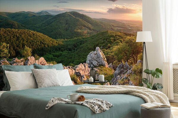 Fototapet natura scăldată în soare
