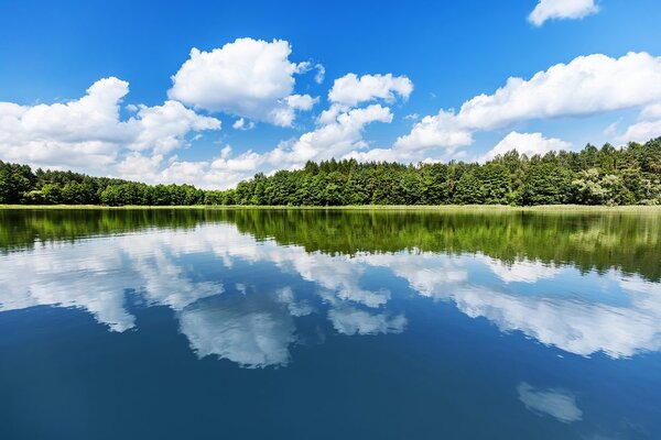 Fototapet natura în periada de vară