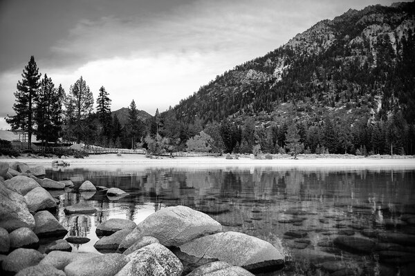 Fototapet lac înconjurat de natură în alb-negru
