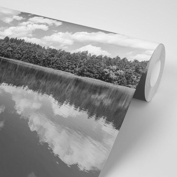 Fototapet lacul în vară în alb-negru