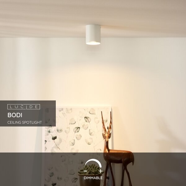 Lucide 09100/01/31 - Lampa spot BODI 1xGU10/50W/230V
