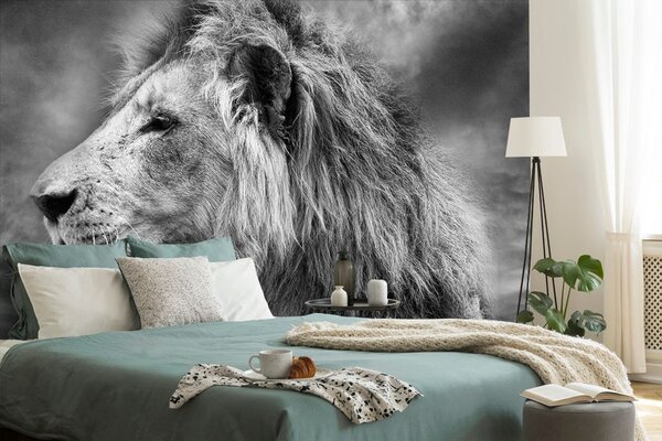 Tapet leul african în design alb-negru