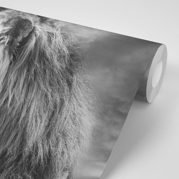 Tapet leul african în design alb-negru