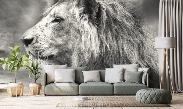Tapet leul african în design alb-negru