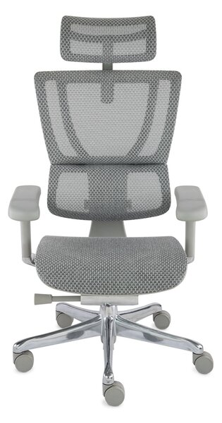 Scaun de birou Ioo 2 GS Grey