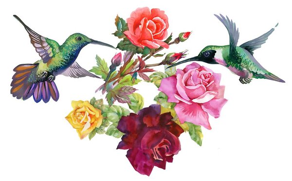 Tapet colibri cu flori
