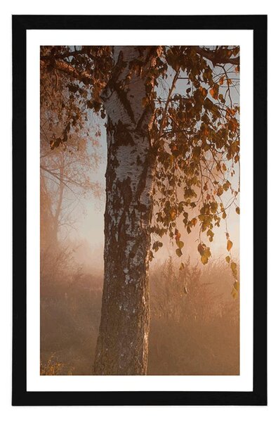 Poster cu passepartout pădure de toamnă cețoasă