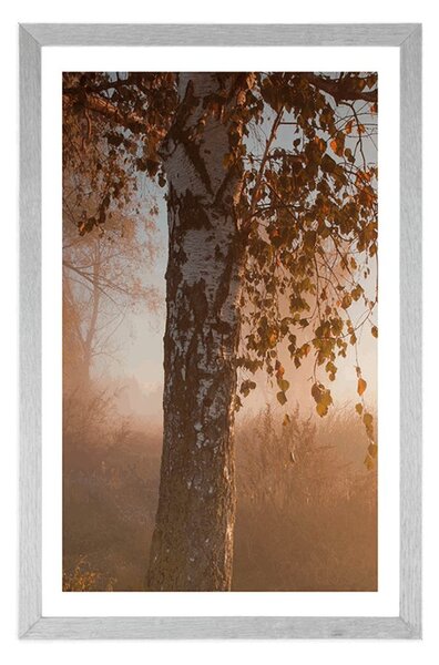Poster cu passepartout pădure de toamnă cețoasă