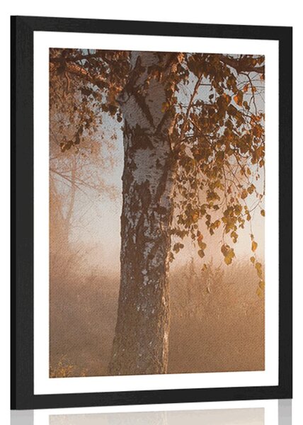 Poster cu passepartout pădure de toamnă cețoasă