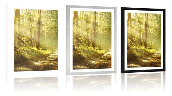 Poster cu passepartout razele de soare în pădure