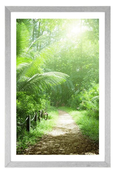 Poster cu passepartout drumuleț pe insula Seychelles
