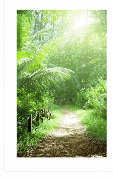 Poster cu passepartout drumuleț pe insula Seychelles