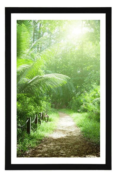 Poster cu passepartout drumuleț pe insula Seychelles