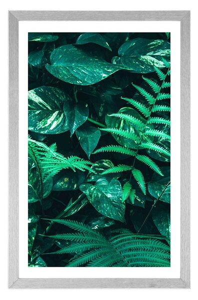 Poster cu passepartout frunze tropicale proaspete