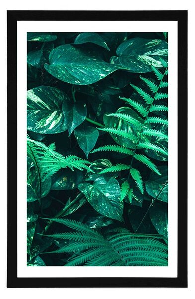 Poster cu passepartout frunze tropicale proaspete