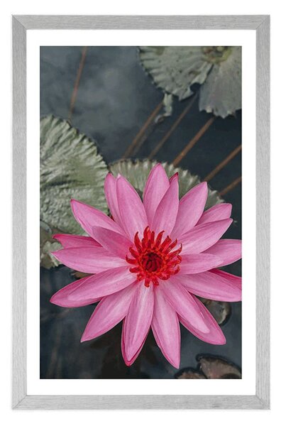 Poster cu passepartout floare de lotus fermecătoare