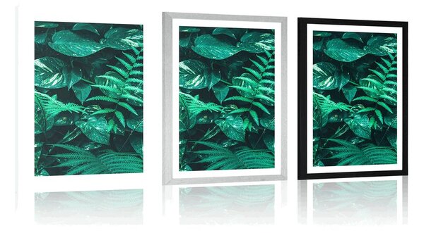 Poster cu passepartout frunze tropicale proaspete