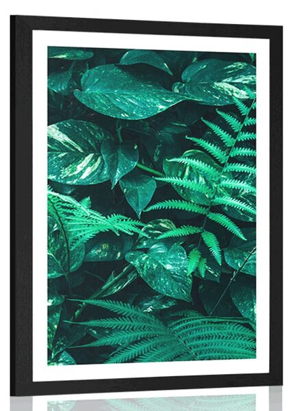 Poster cu passepartout frunze tropicale proaspete