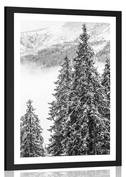 Poster cu passepartout copaci de pini înzăpeziți în design alb-negru