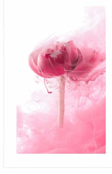 Poster cu passepartout floare roz în design interesant