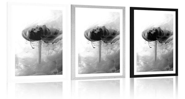 Poster cu passepartout floare interesantă în design alb-negru