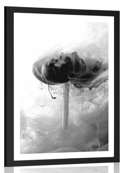 Poster cu passepartout floare interesantă în design alb-negru