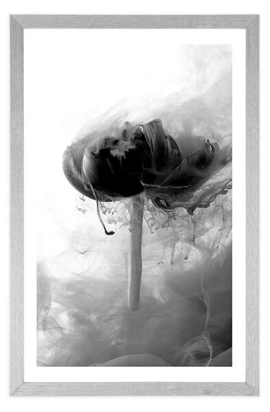 Poster cu passepartout floare interesantă în design alb-negru