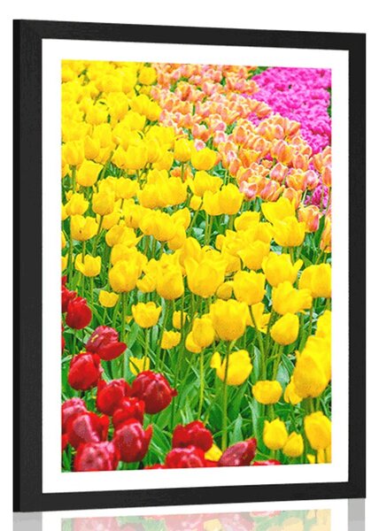 Poster cu passepartout gradina plină de lalele