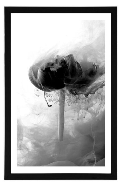 Poster cu passepartout floare interesantă în design alb-negru
