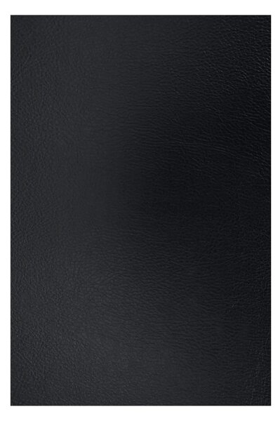 Scaun ZEKI, negru, piele ecologica/metal, 45x58x82 cm