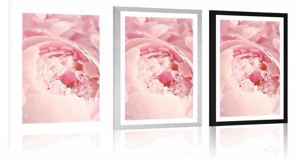 Poster cu passepartout petale de floare