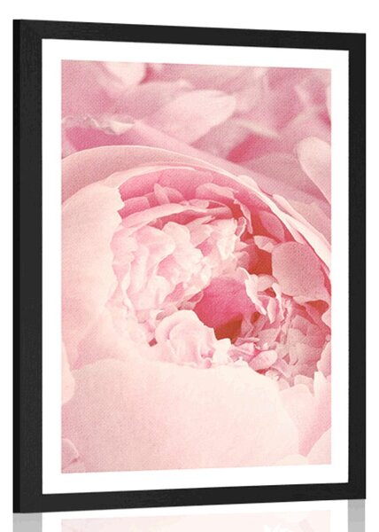 Poster cu passepartout petale de floare