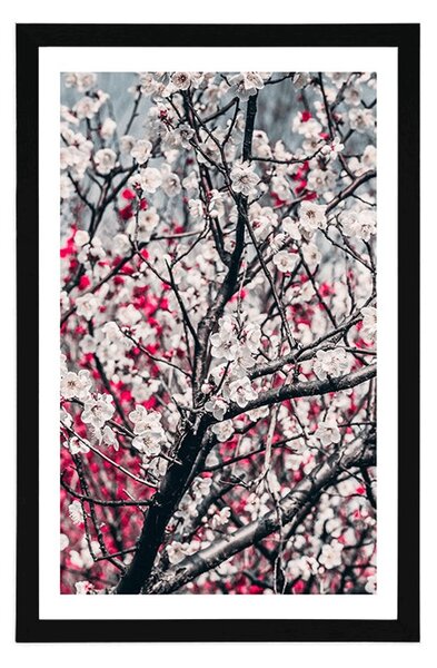 Poster cu passepartout floare de piersică