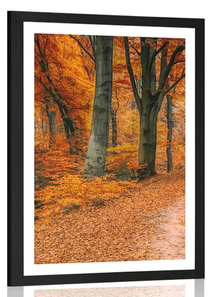 Poster cu passepartout pădure în perioada de toamnă