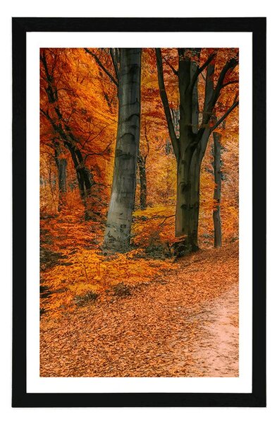 Poster cu passepartout pădure în perioada de toamnă