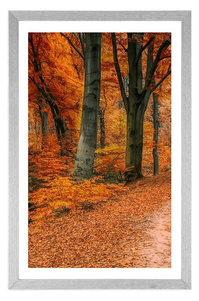 Poster cu passepartout pădure în perioada de toamnă