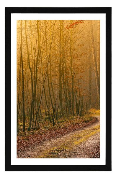 Poster cu passepartout potecă spre pădure